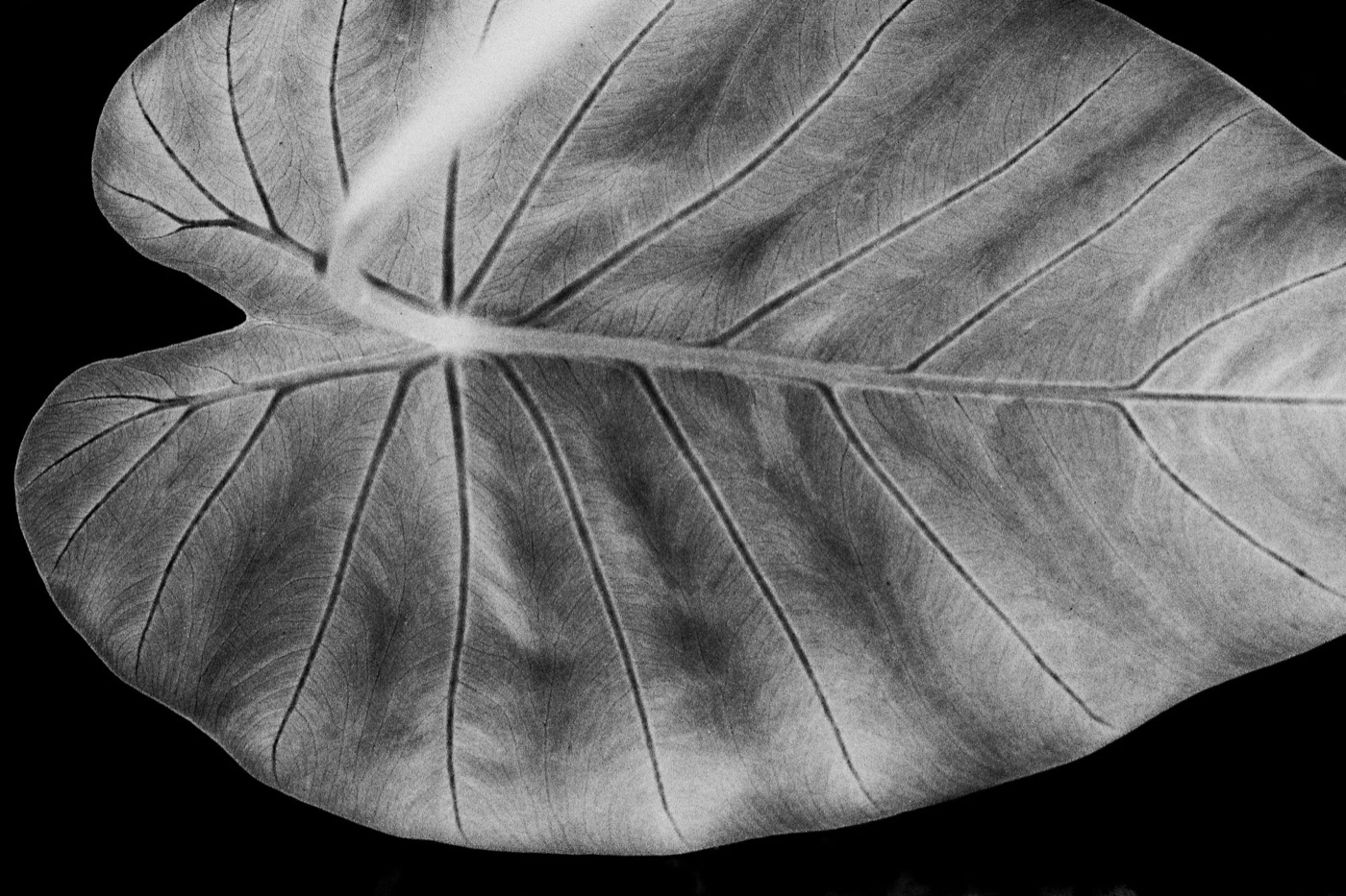 Personal work — photograph 3
