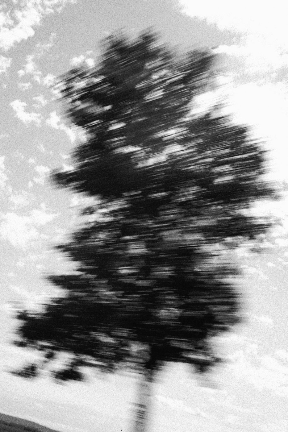 Personal work — photograph 4